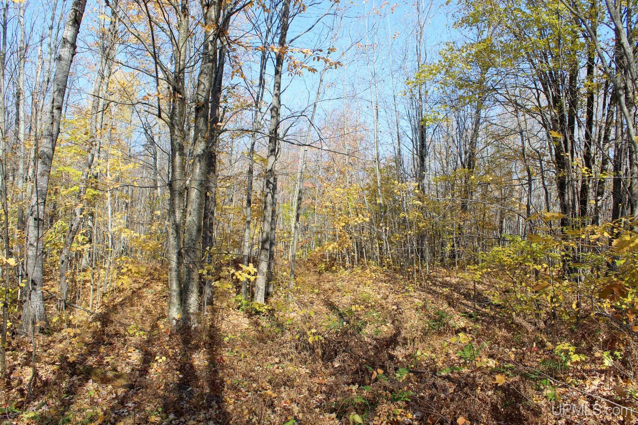 Tbd Pike River Road Chassell, MI 49916 - Photo 37 of 57 Gallery Image 37