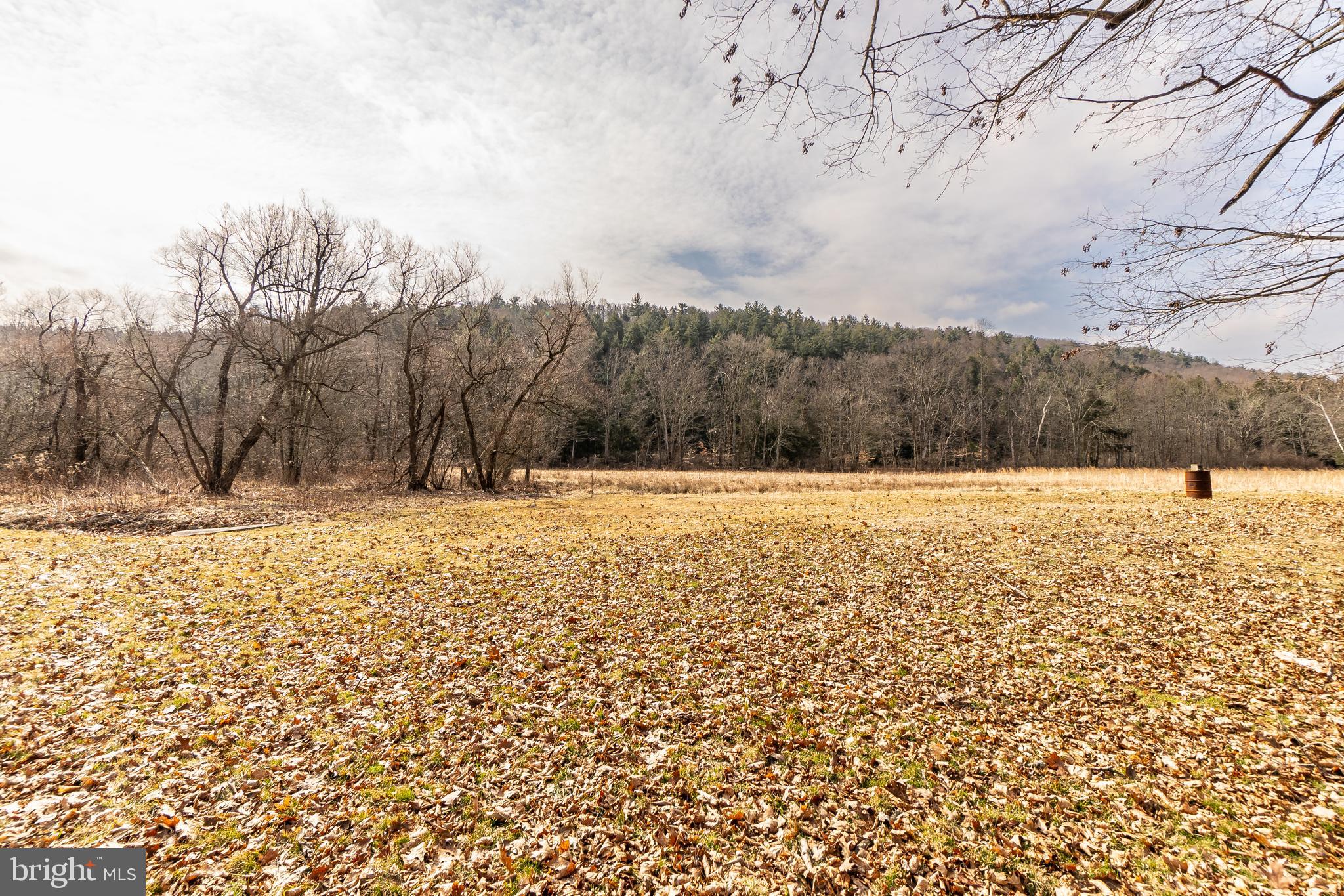 274 Narrows Road New Bloomfield, PA 17068 - Photo 3 of 53 Gallery Image 3