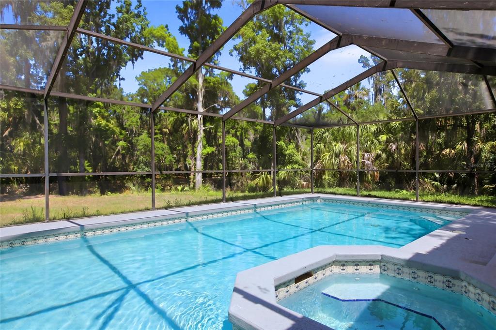 8315 Revels Road Riverview, FL 33569 - Photo 6 of 38
