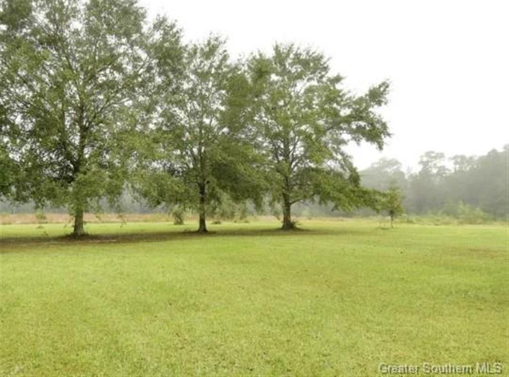 158 Domingue Road Ragley, LA 70657 - Photo 1 of 2 Gallery Image 1