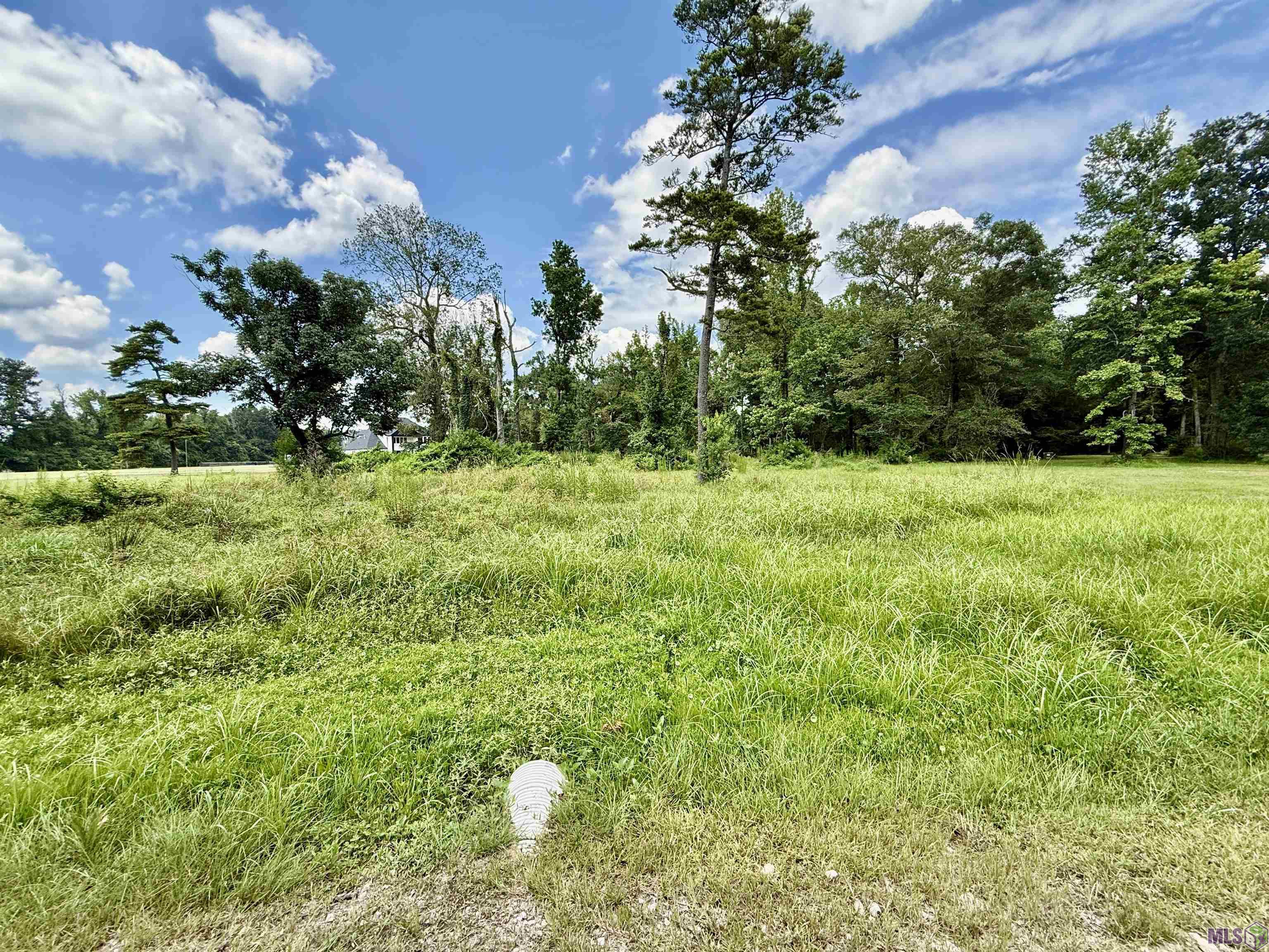 36301 Ruby Moore Road Denham Springs, LA 70706 - Photo 1 of 3