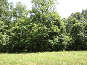 Tbd Lower Leesville Road Bedford, IN 47421 - Photo 1 of 2 Gallery Image 1