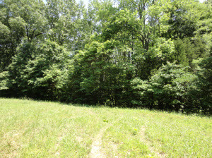 Tbd Lower Leesville Road Bedford, IN 47421 - Photo 2 of 2 Gallery Image 2