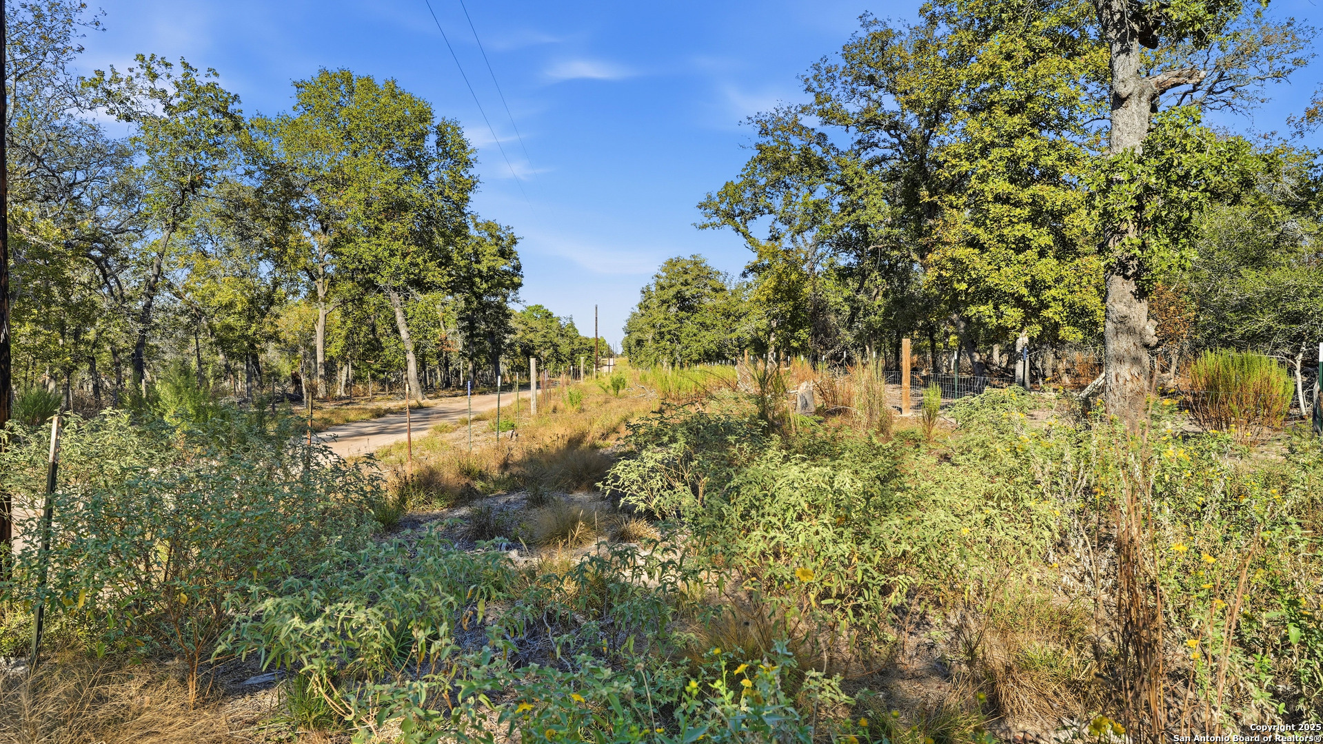 Tbd Turkey Tree Trail Seguin, TX 78155 - Photo 14 of 18 a view of a yard with plants and trees