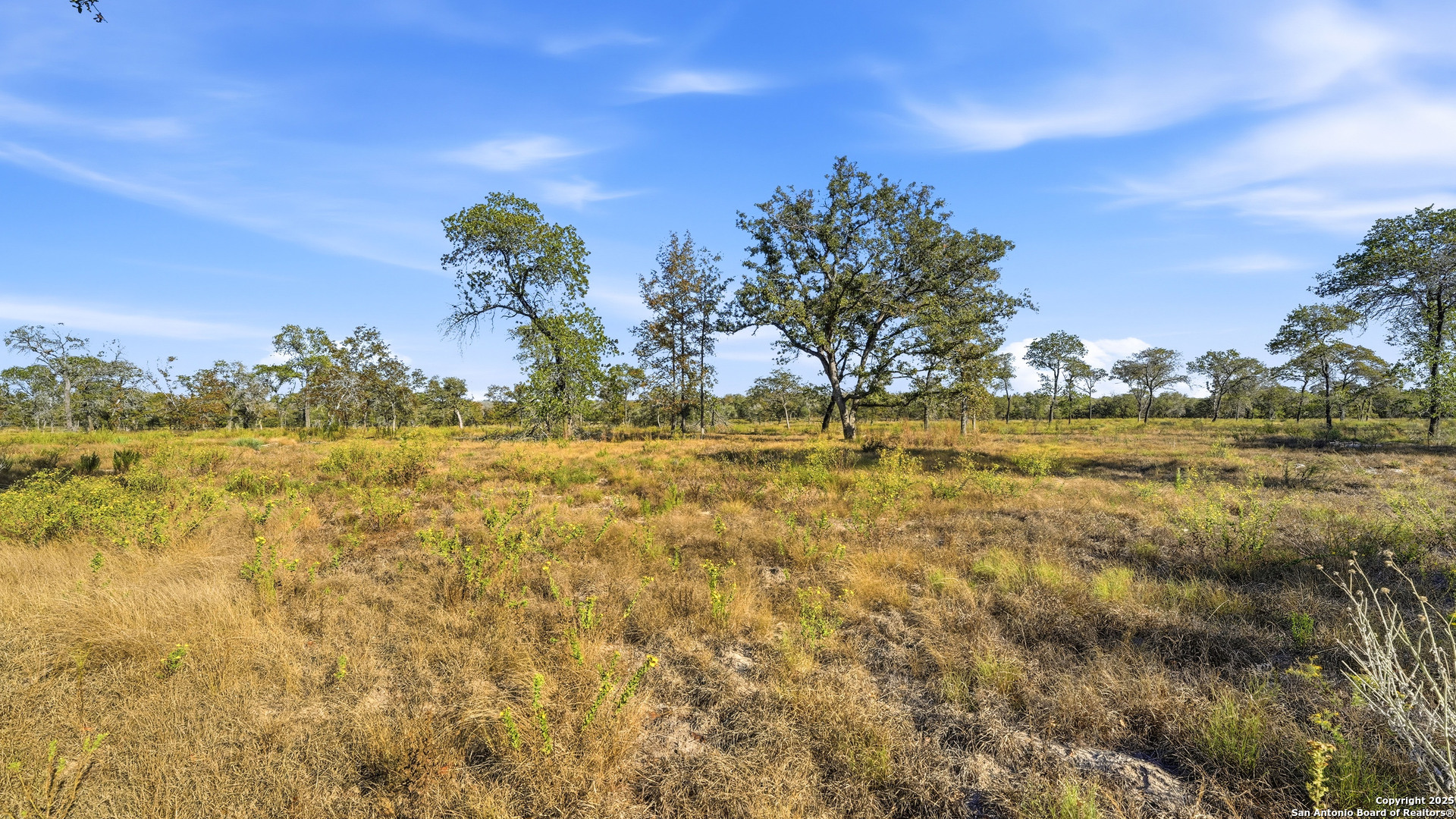 Tbd Turkey Tree Trail Seguin, TX 78155 - Photo 16 of 18 a view of a lake view