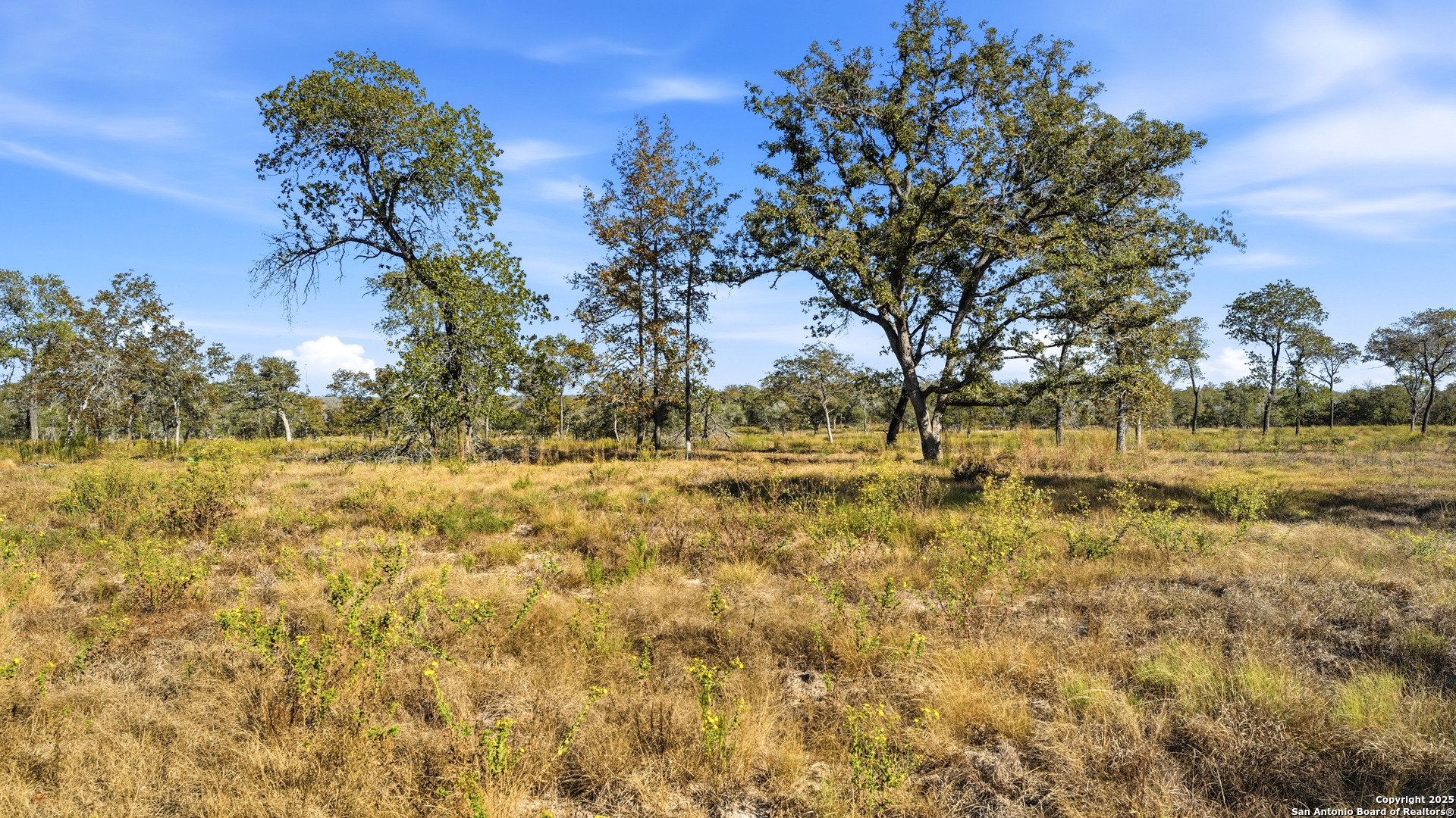 Tbd Turkey Tree Trail Seguin, TX 78155 - Photo 17 of 18 a view of yard with green space