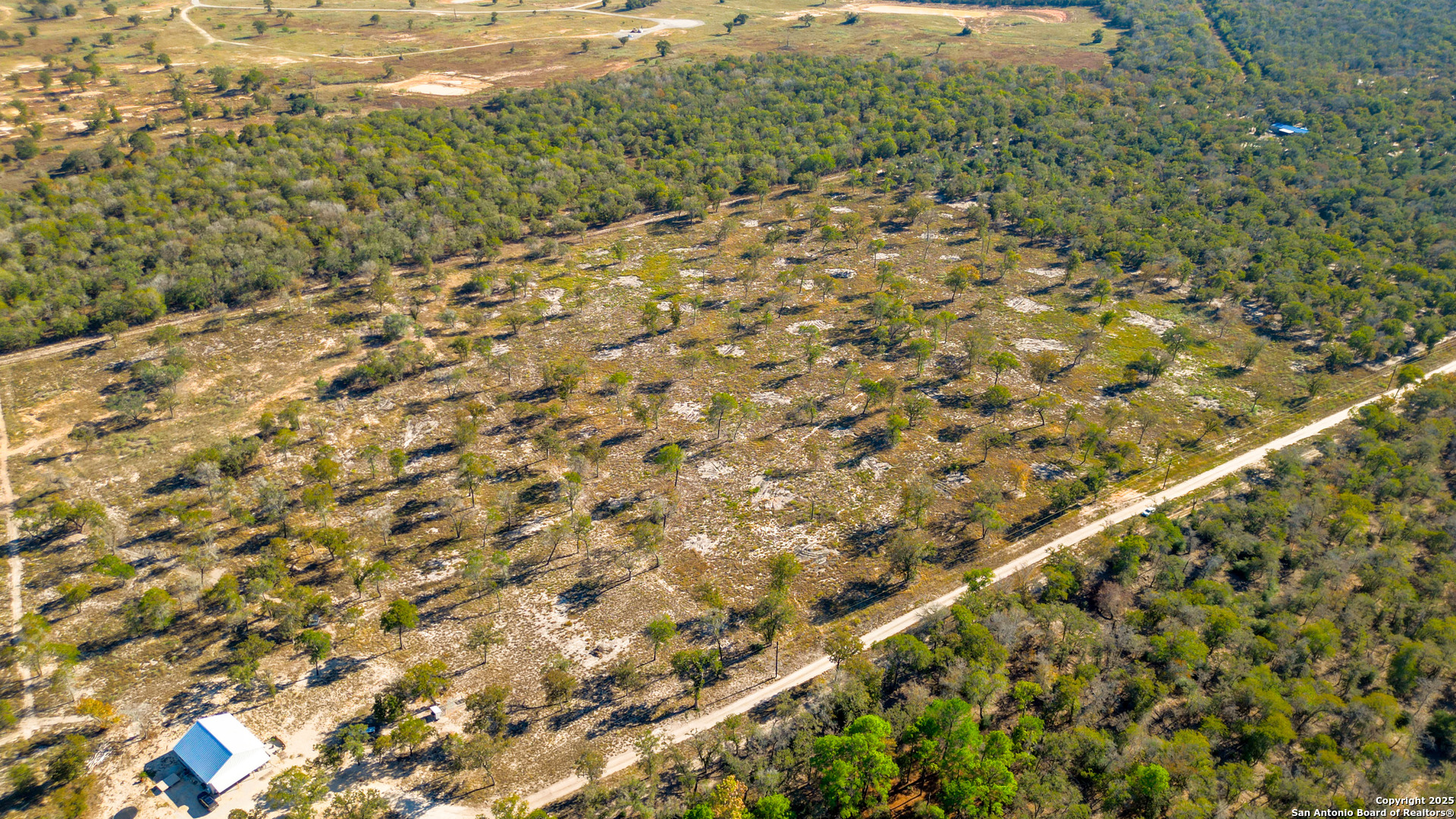 Tbd Turkey Tree Trail Seguin, TX 78155 - Photo 3 of 18 a view of a yard with a plant