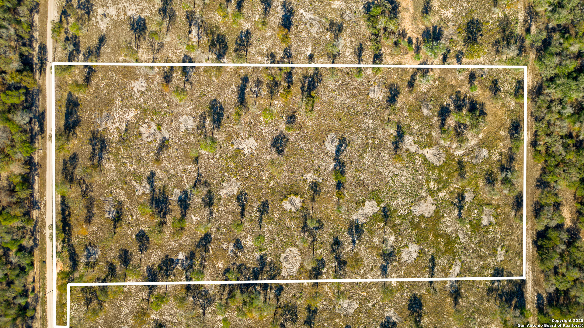 Tbd Turkey Tree Trail Seguin, TX 78155 - Photo 6 of 18 a view of a small yard
