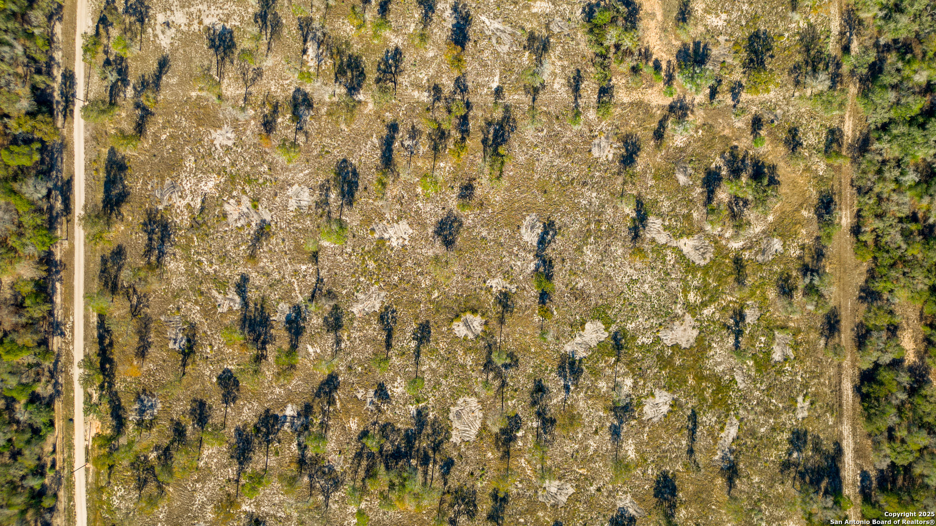 Tbd Turkey Tree Trail Seguin, TX 78155 - Photo 7 of 18 a close up of a window