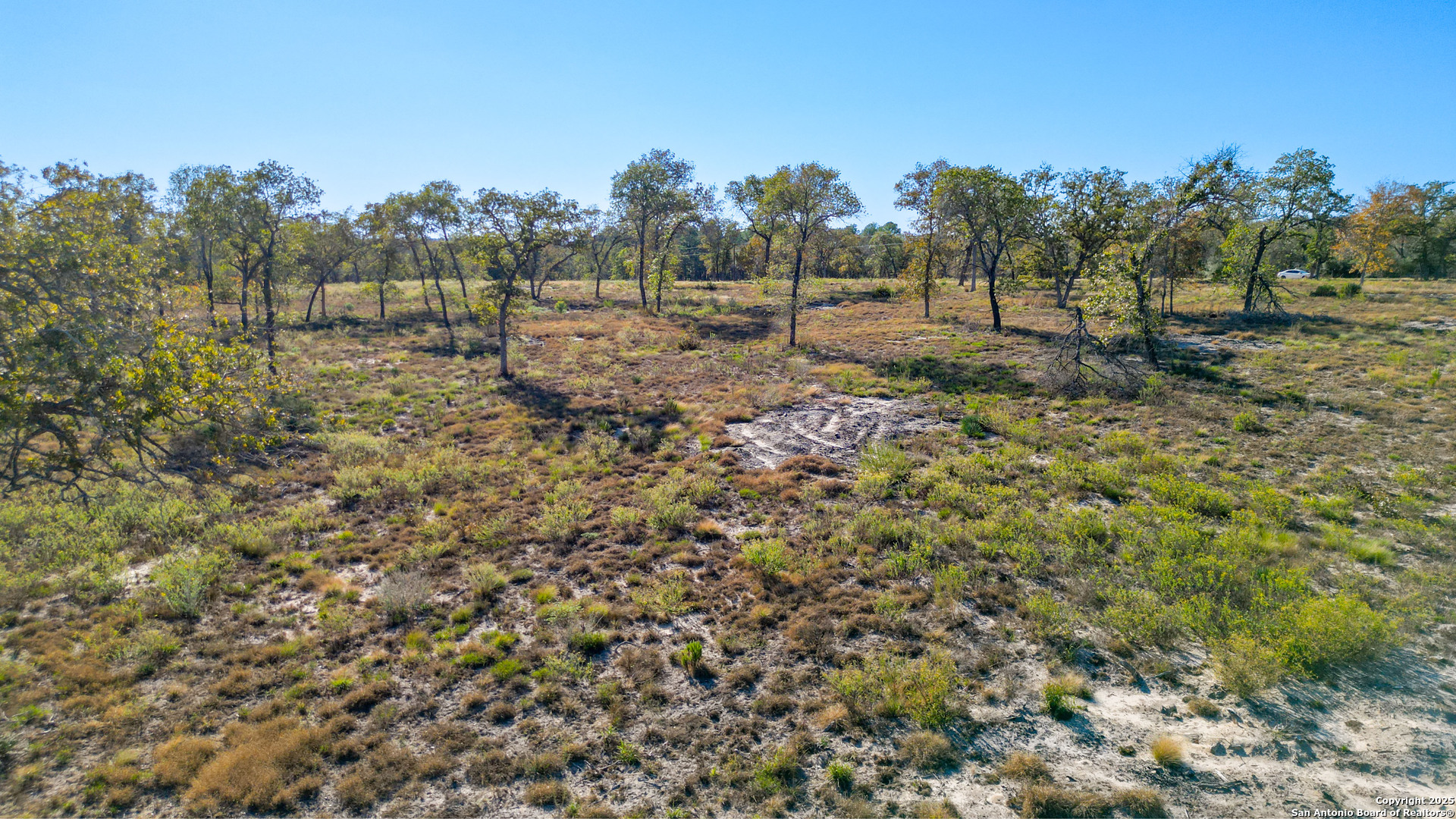 Tbd Turkey Tree Trail Seguin, TX 78155 - Photo 10 of 18 a view of outdoor space with trees all around