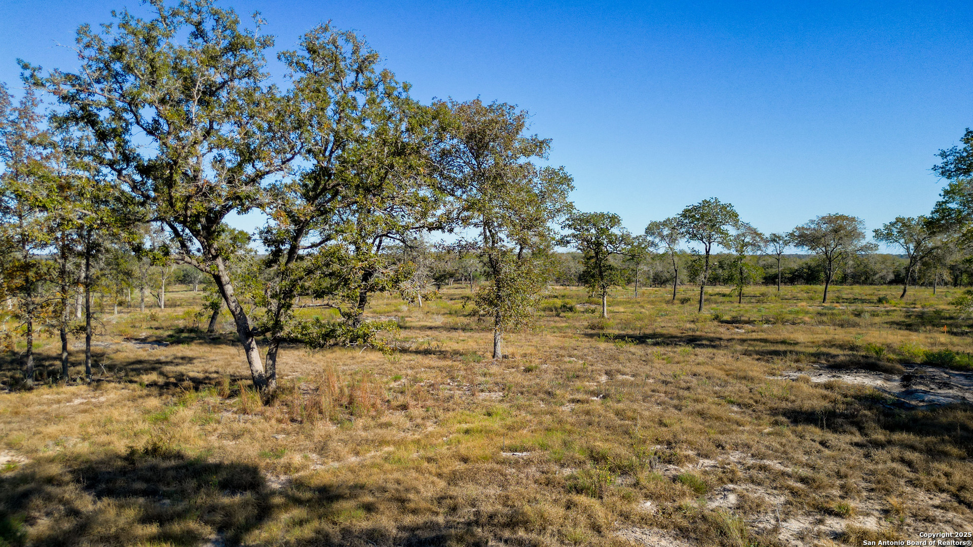 Tbd Turkey Tree Trail Seguin, TX 78155 - Photo 10 of 18