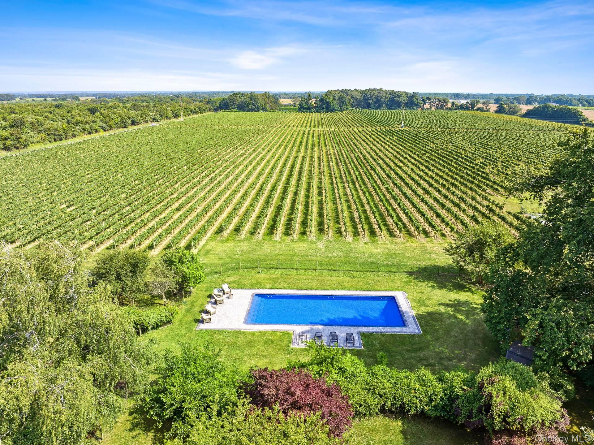 a view of a back yard