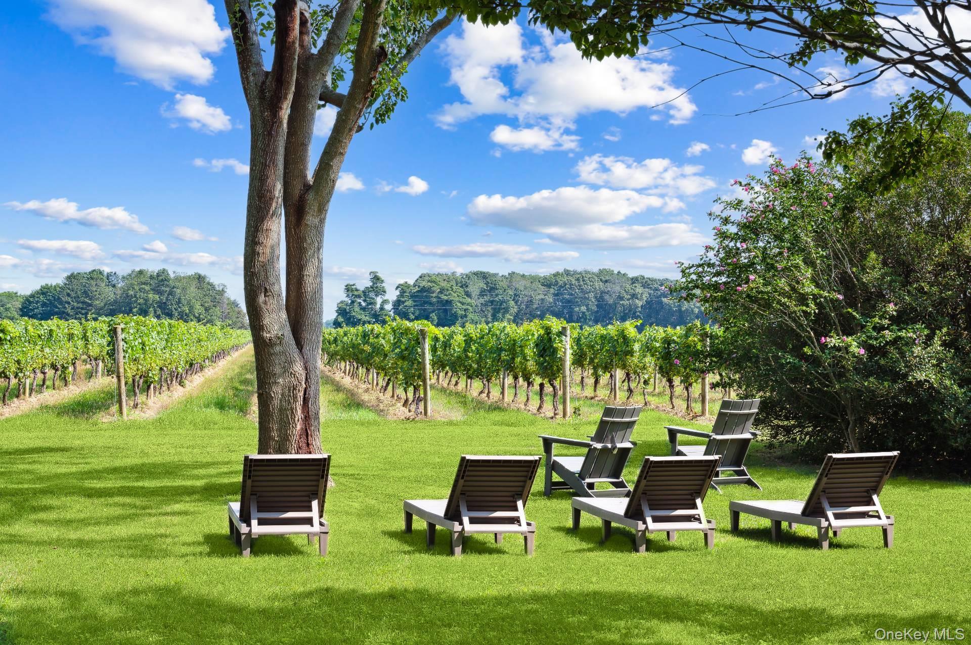 2600 Oregon Road Mattituck, NY 11952 - Photo 12 of 32 a view of chairs and table in the yard