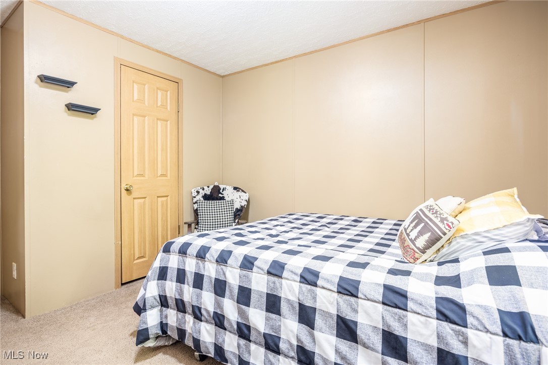 1788 Rosenbush Road Newport, OH 45768 - Photo 27 of 34 Bedroom with carpet floors and a textured ceiling