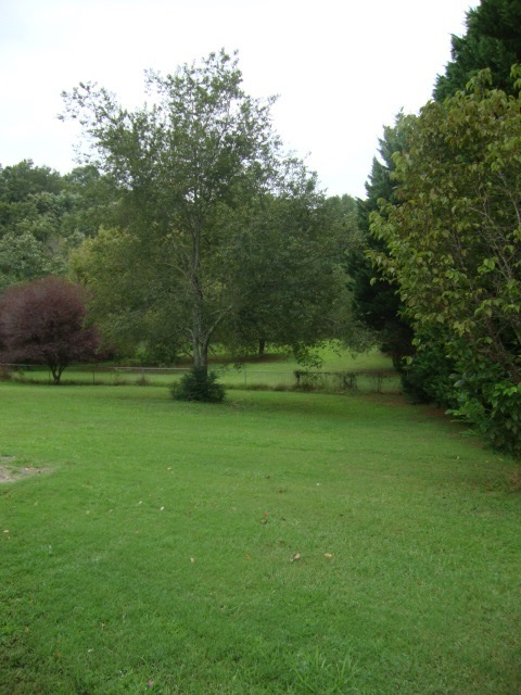 360 Highpoint Road Piedmont, SC 29673 - Photo 19 of 21 Gallery Image 19