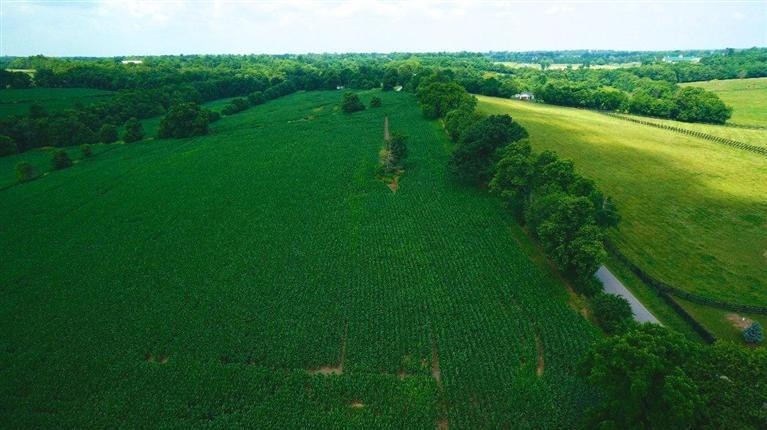 1 Paynes Mill Road Versailles, KY 40383 - Photo 28 of 36 Photo 28