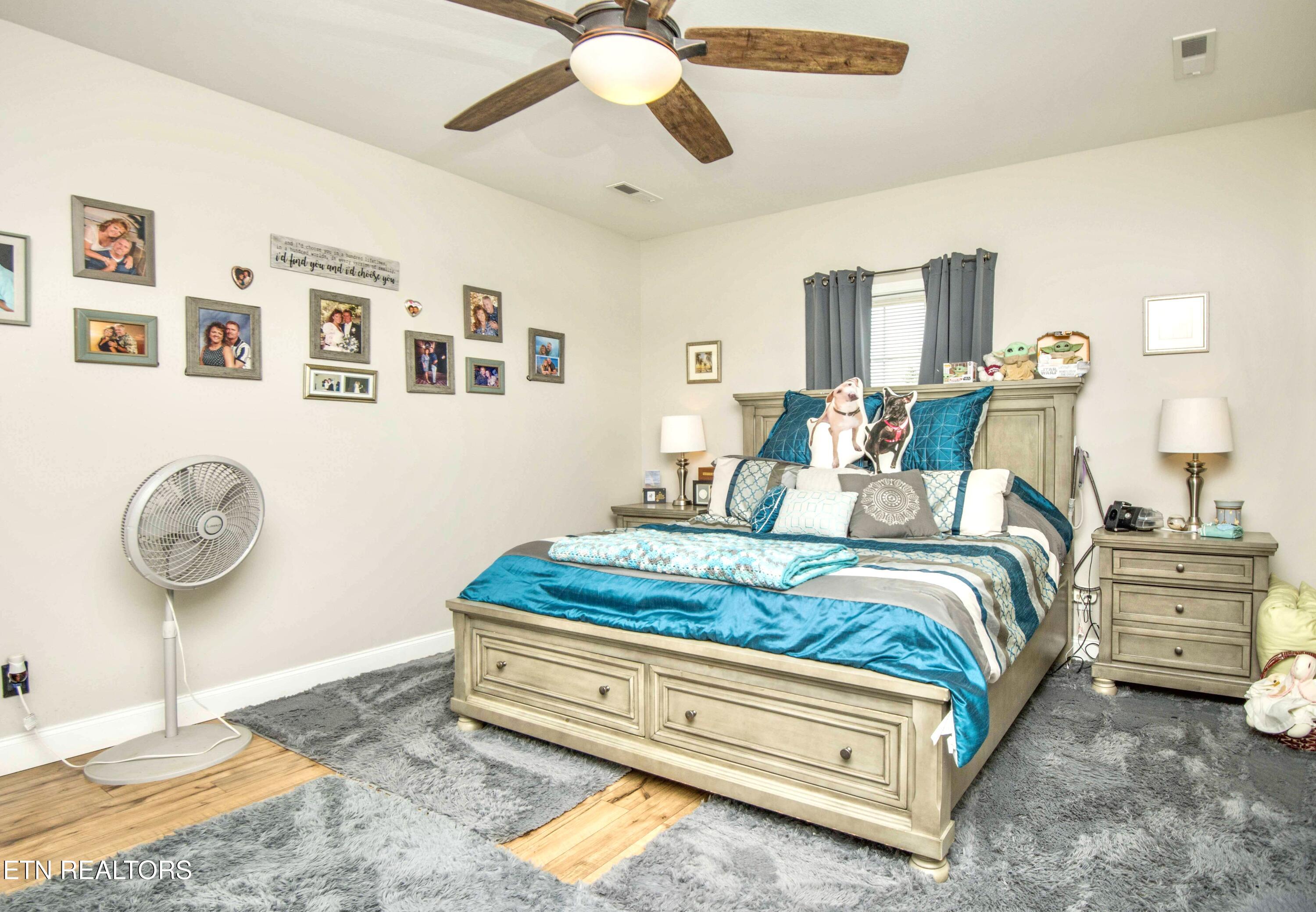 131 Raspberry Drive New Market, TN 37820 - Photo 14 of 29 MASTER BEDROOM