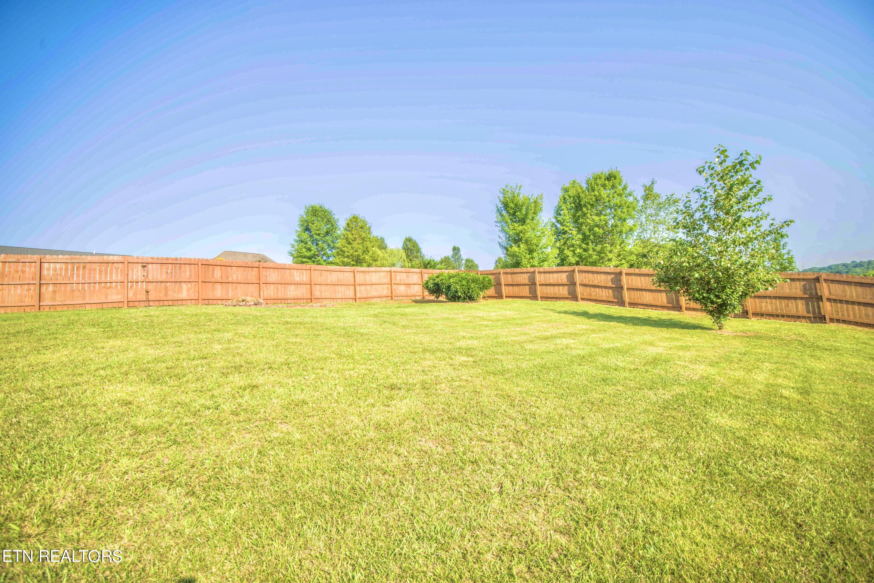 131 Raspberry Drive New Market, TN 37820 - Photo 26 of 29 RIGHT SIDE YARD