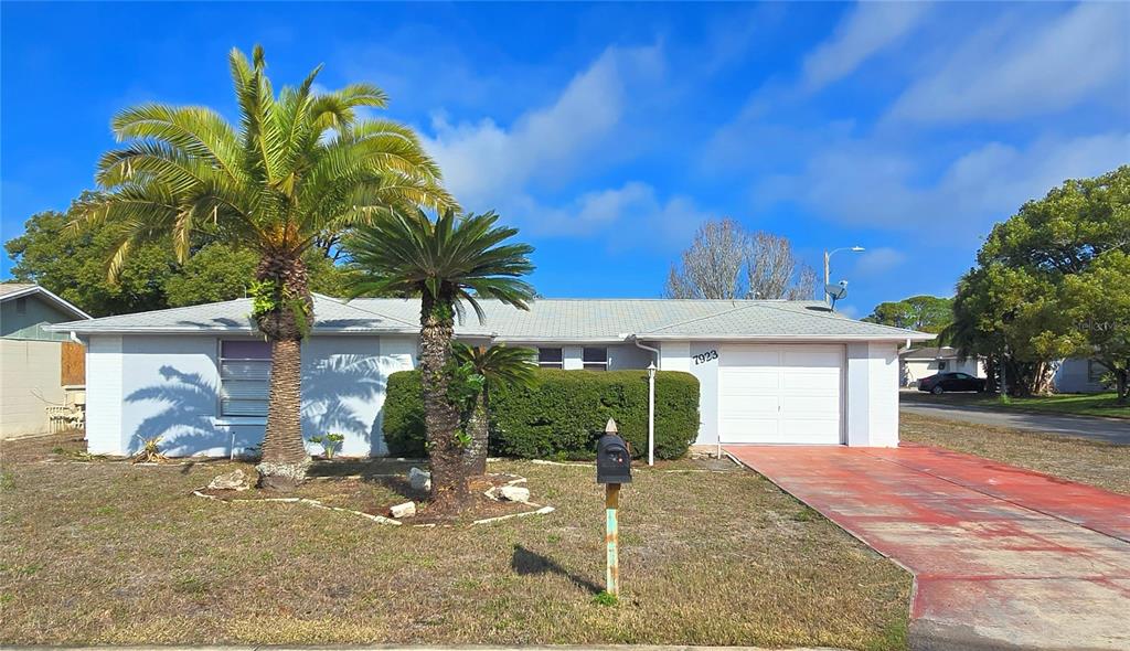 7923 Hawthorn Drive Port Richey, FL 34668 - Photo 1 of 1 a view of a house with a yard