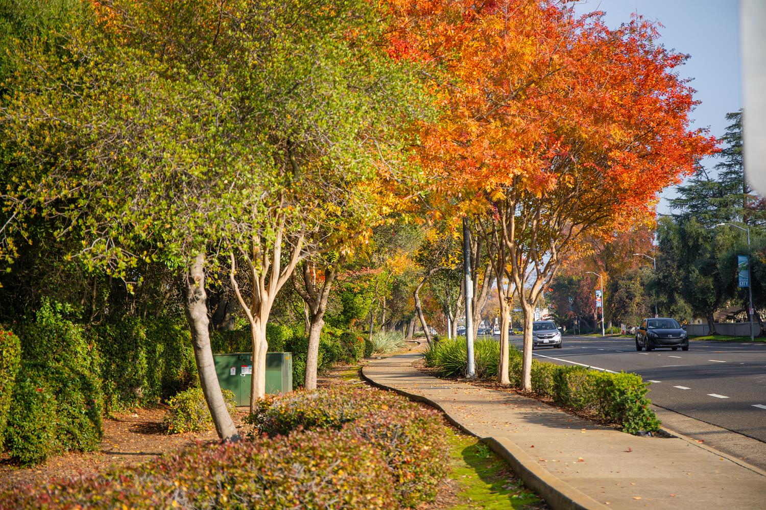 10049 Elgin River Court Rancho Cordova, CA 95670 - Photo 44 of 44 Beautiful fall photo showing walk trail off of Coloma.