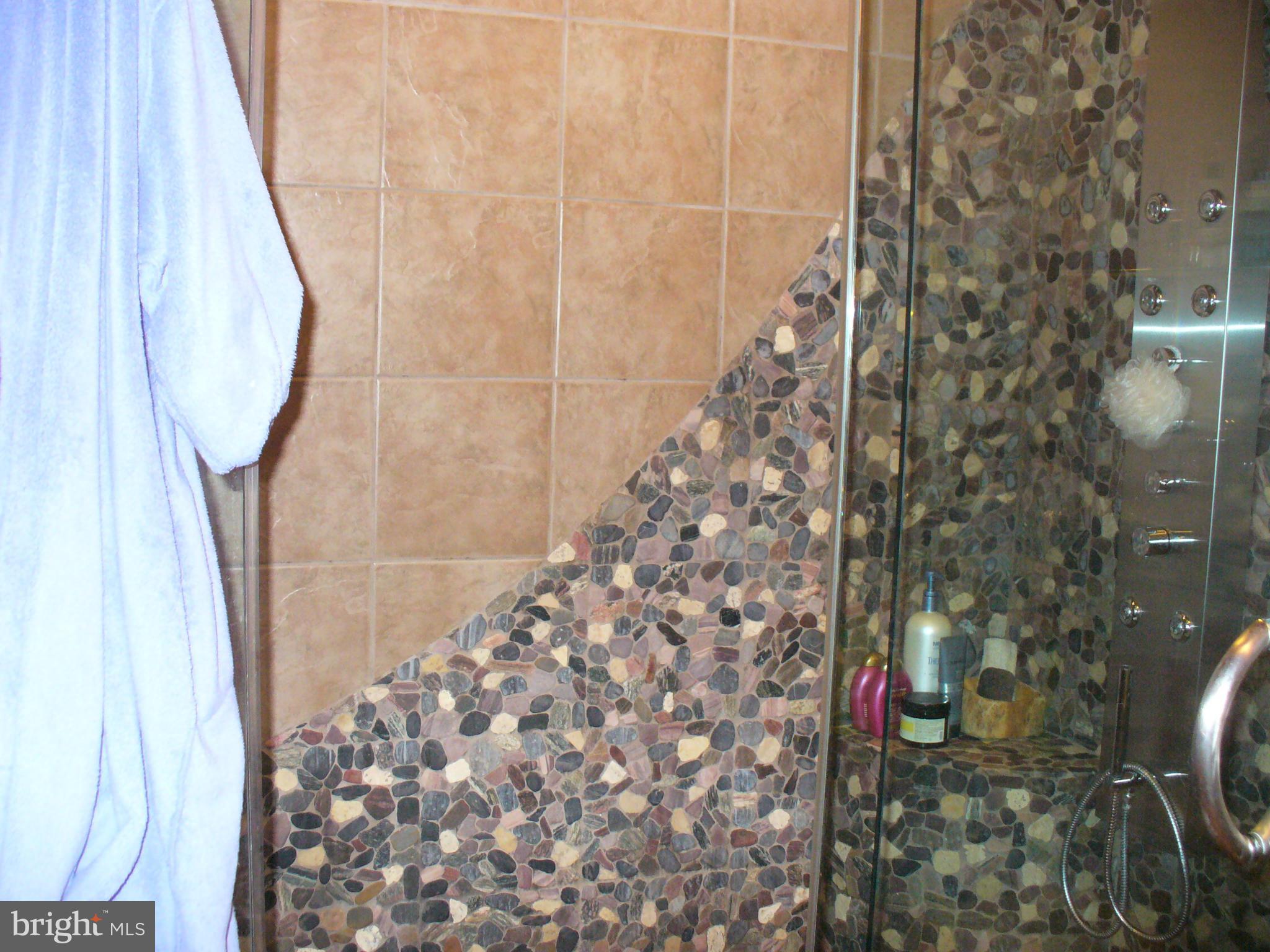 1708 Chester Mill Road Silver Spring, MD 20906 - Photo 22 of 30 Bath (Master)