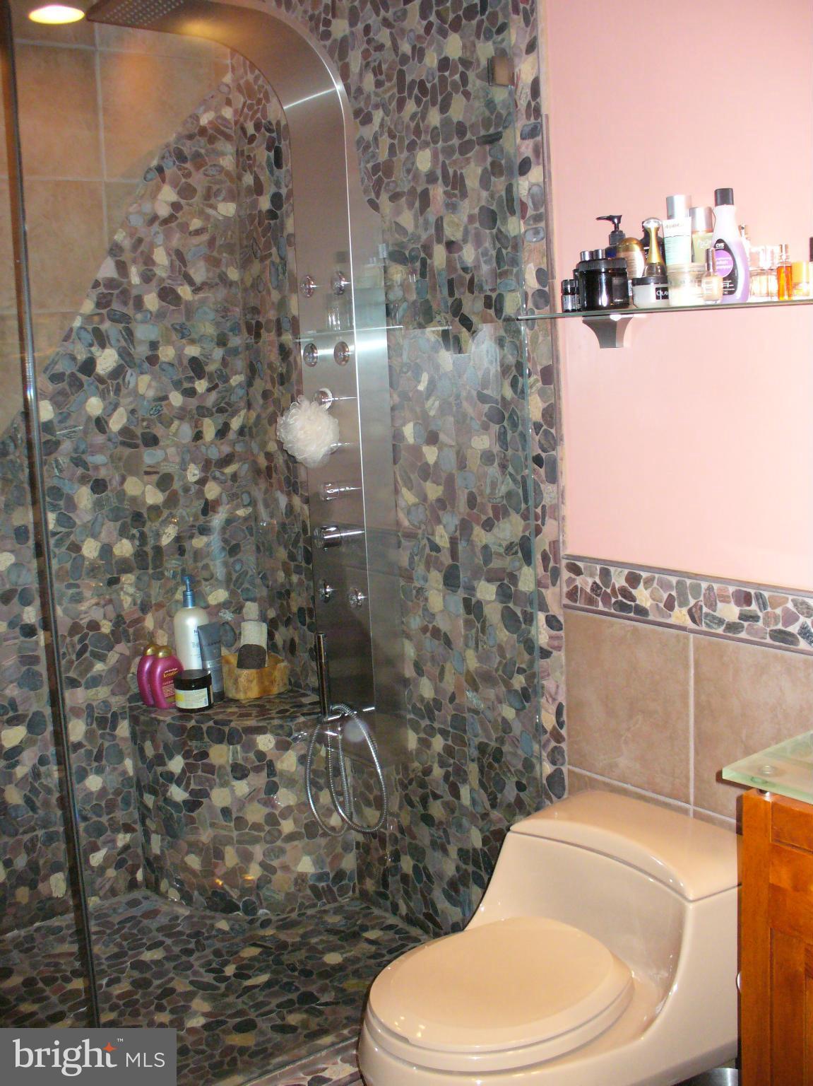1708 Chester Mill Road Silver Spring, MD 20906 - Photo 23 of 30 Bath (Master)