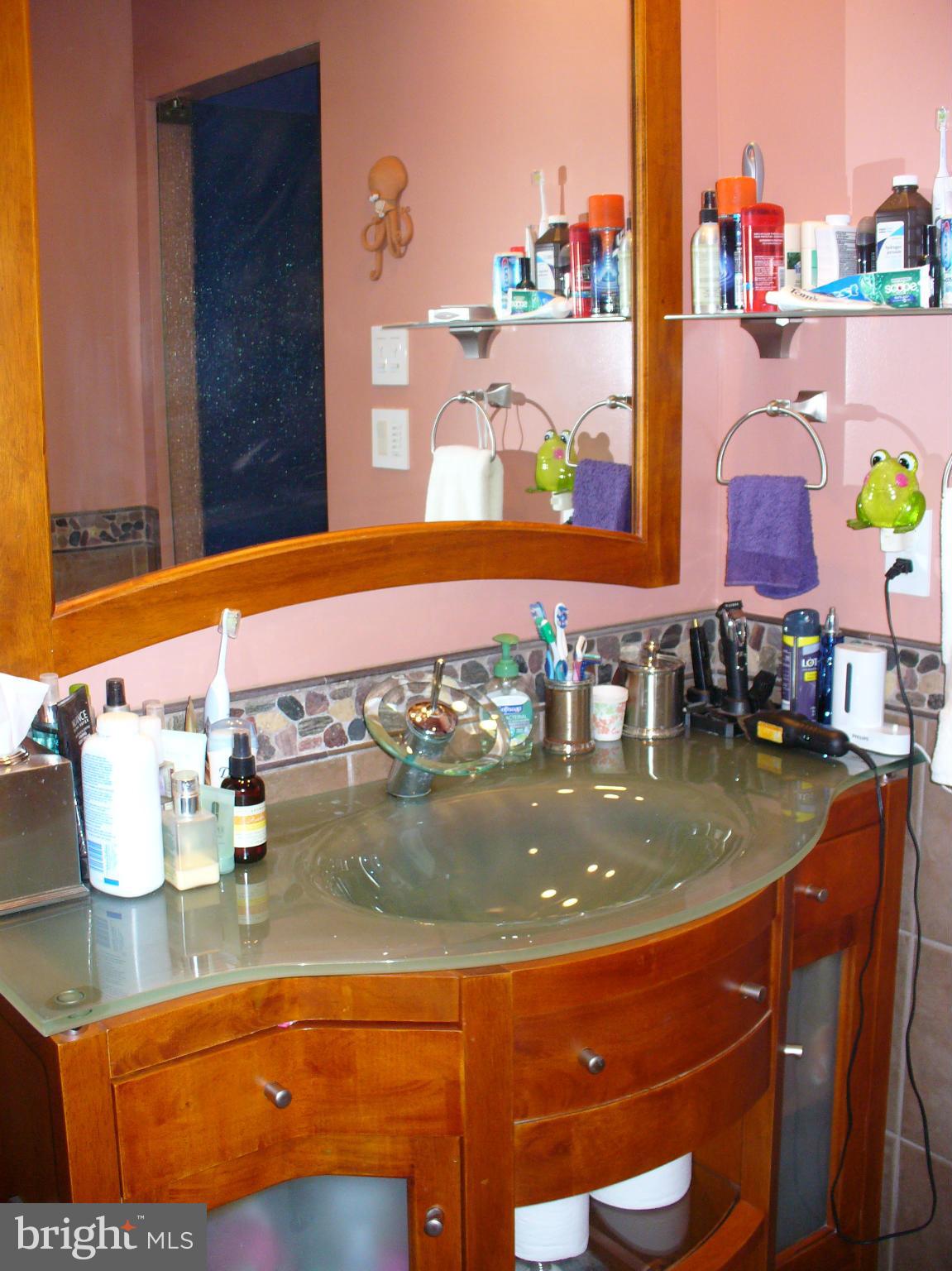 1708 Chester Mill Road Silver Spring, MD 20906 - Photo 24 of 30 Bath (Master)
