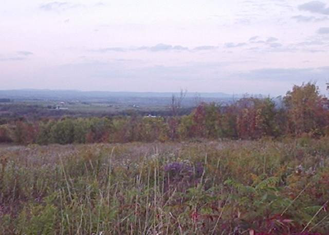 0 Hyney Hill Road Fultonville, NY 12072 - Photo 1 of 3 Photo 1