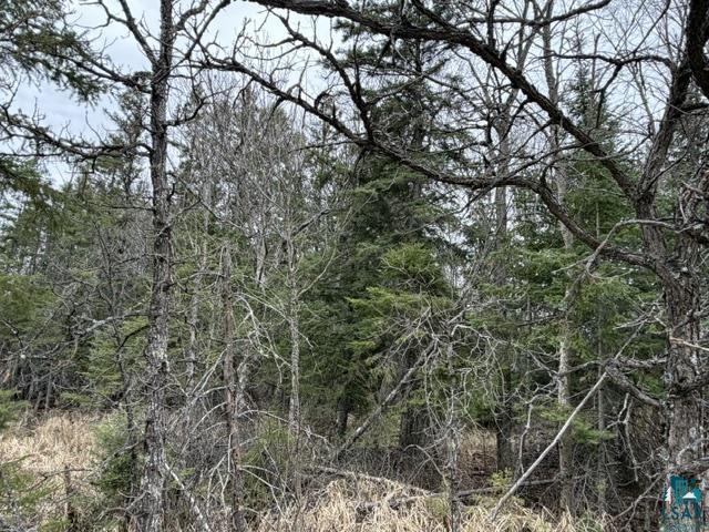 Tbd 5th Street Southeast Cook, MN 55723 - Photo 6 of 13
