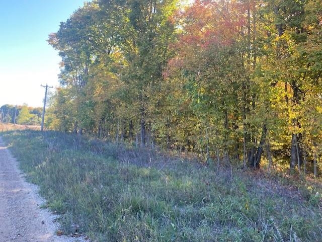 7597 Day Road Northeast Mancelona, MI 49659 - Photo 2 of 13 Gallery Image 2