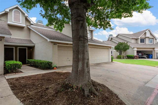 a view of road with large trees