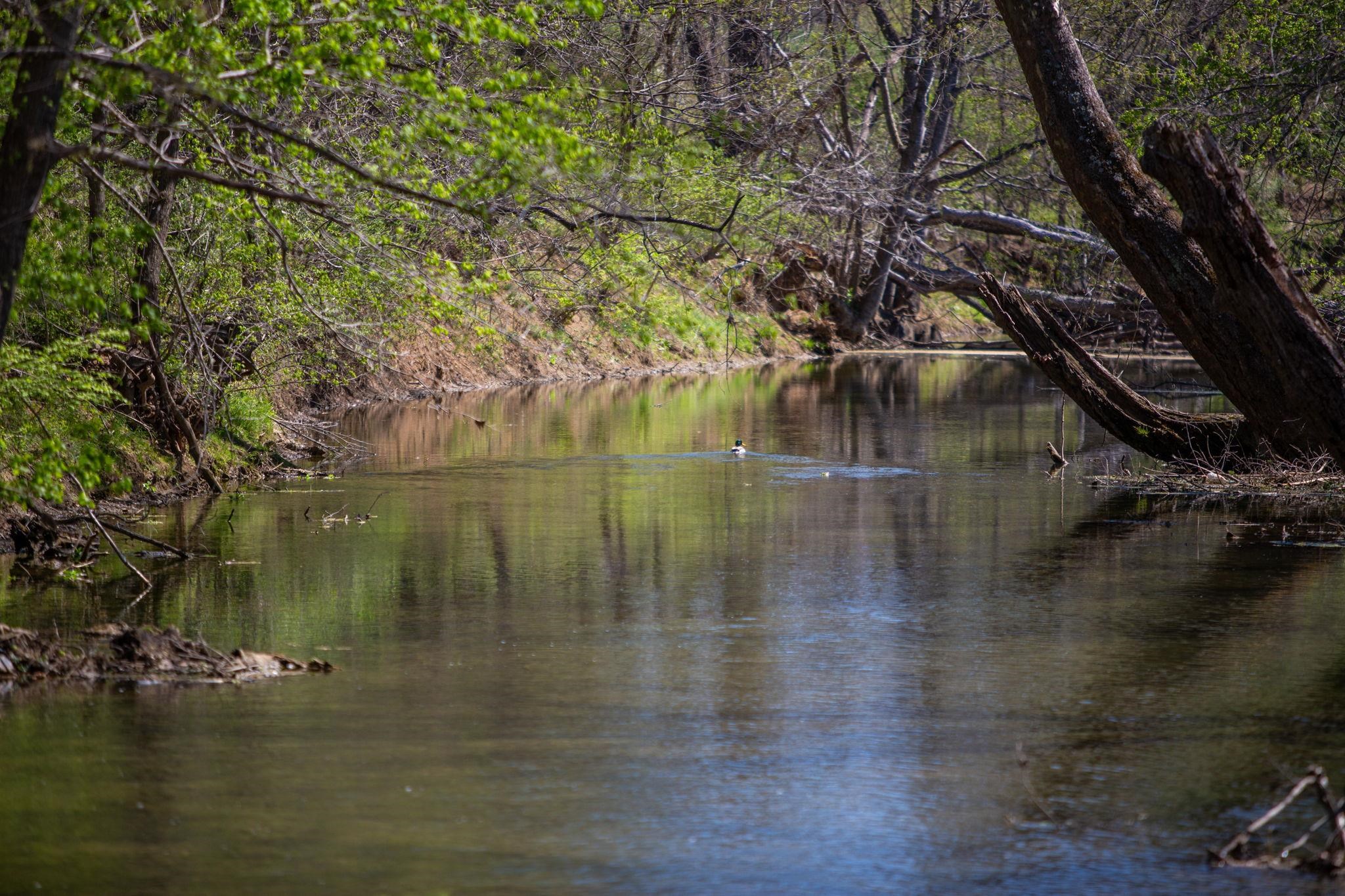 13004 Indian Trail Road Broadway, VA 22815 - Photo 47 of 56 Smith Creek