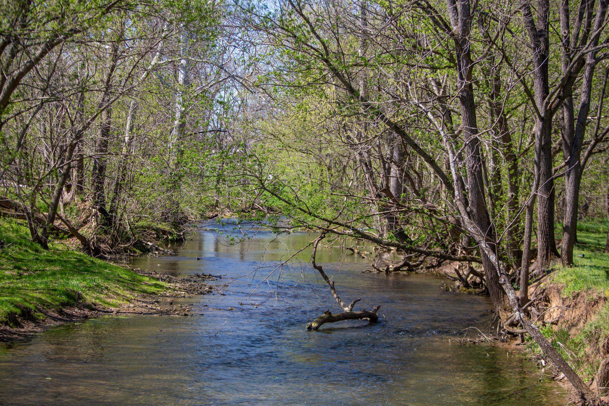 13004 Indian Trail Road Broadway, VA 22815 - Photo 49 of 56 on the property and borders the whole side south to east.