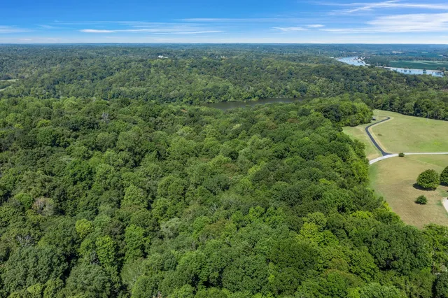 a view of a city with lush green forest