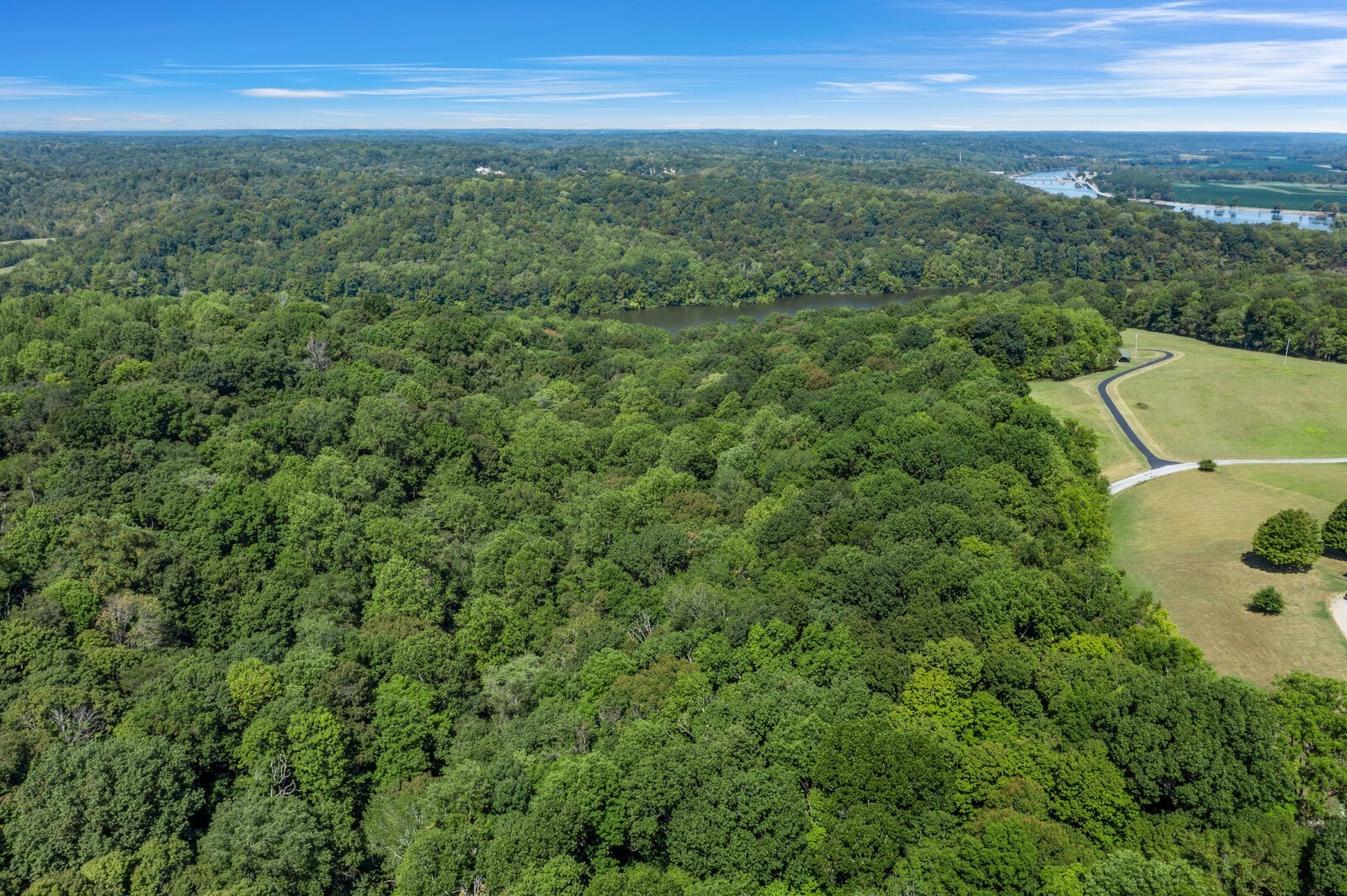 415 Cooksey Batson Road Charlotte, TN 37036 - Photo 4 of 60 a view of a city with lush green forest