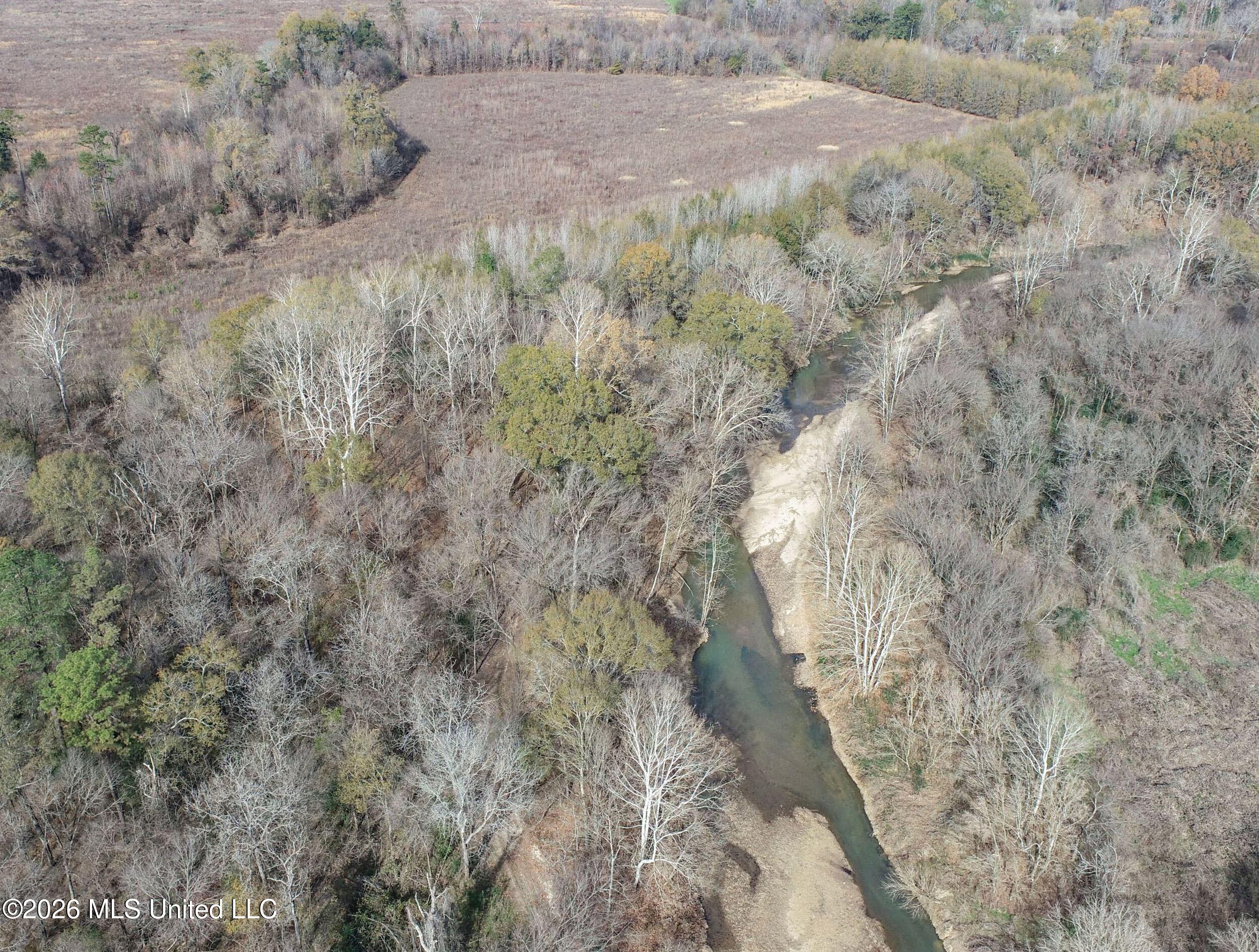 Chinqupin Road Lexington, MS 39095 - Photo 28 of 210 5chqpn15