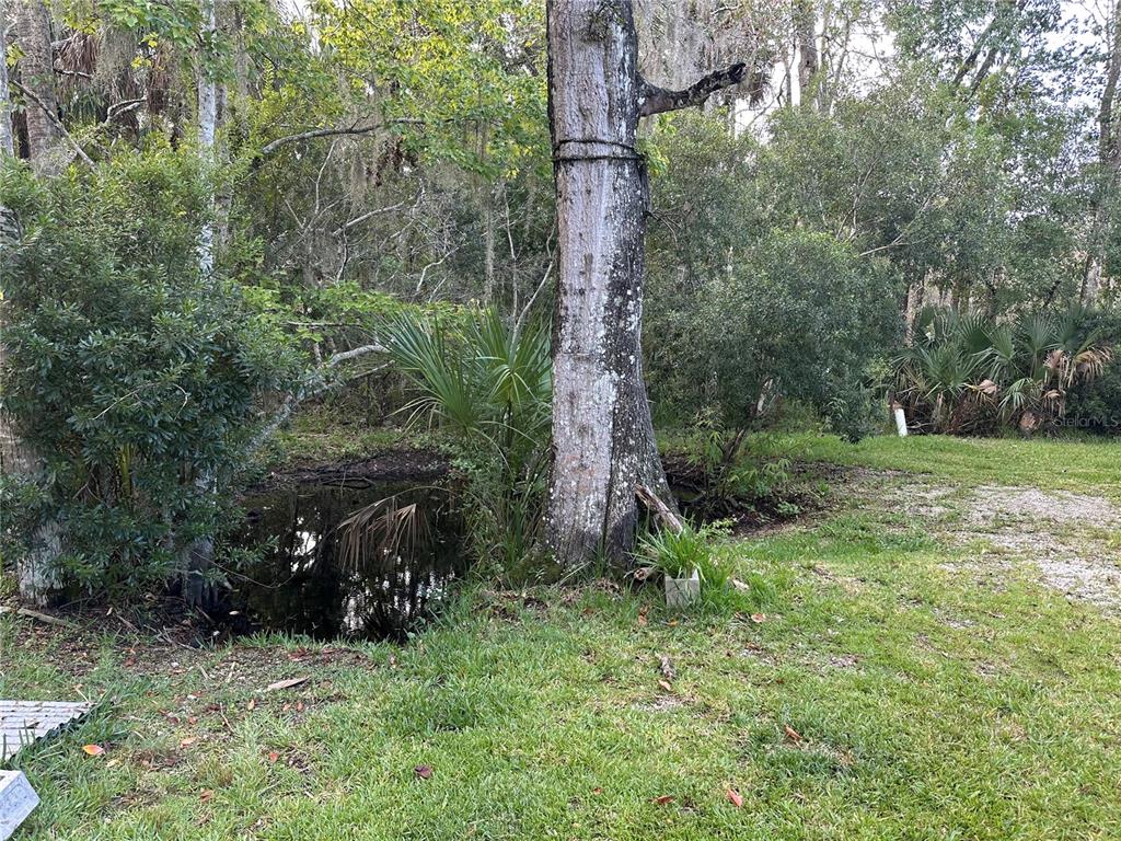 237 North Candle Point Crystal River, FL 34429 - Photo 16 of 21 a view of a yard