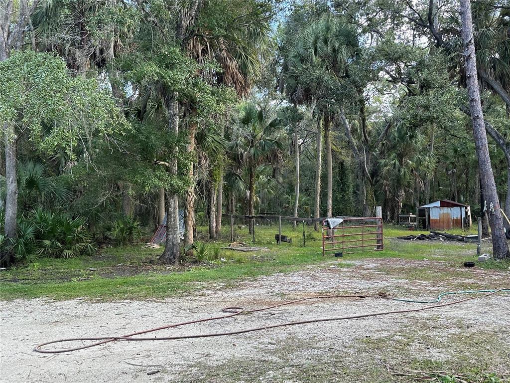 237 North Candle Point Crystal River, FL 34429 - Photo 18 of 21 a view of green field with trees