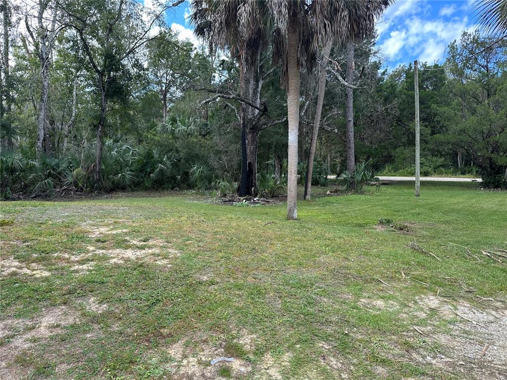237 North Candle Point Crystal River, FL 34429 - Photo 19 of 28
