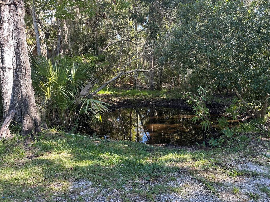 237 North Candle Point Crystal River, FL 34429 - Photo 21 of 21