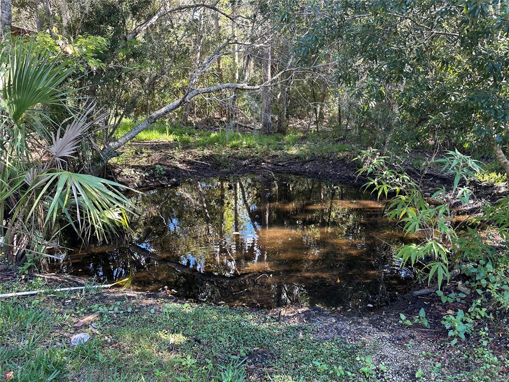 237 North Candle Point Crystal River, FL 34429 - Photo 6 of 21 a view of outdoor space with trees