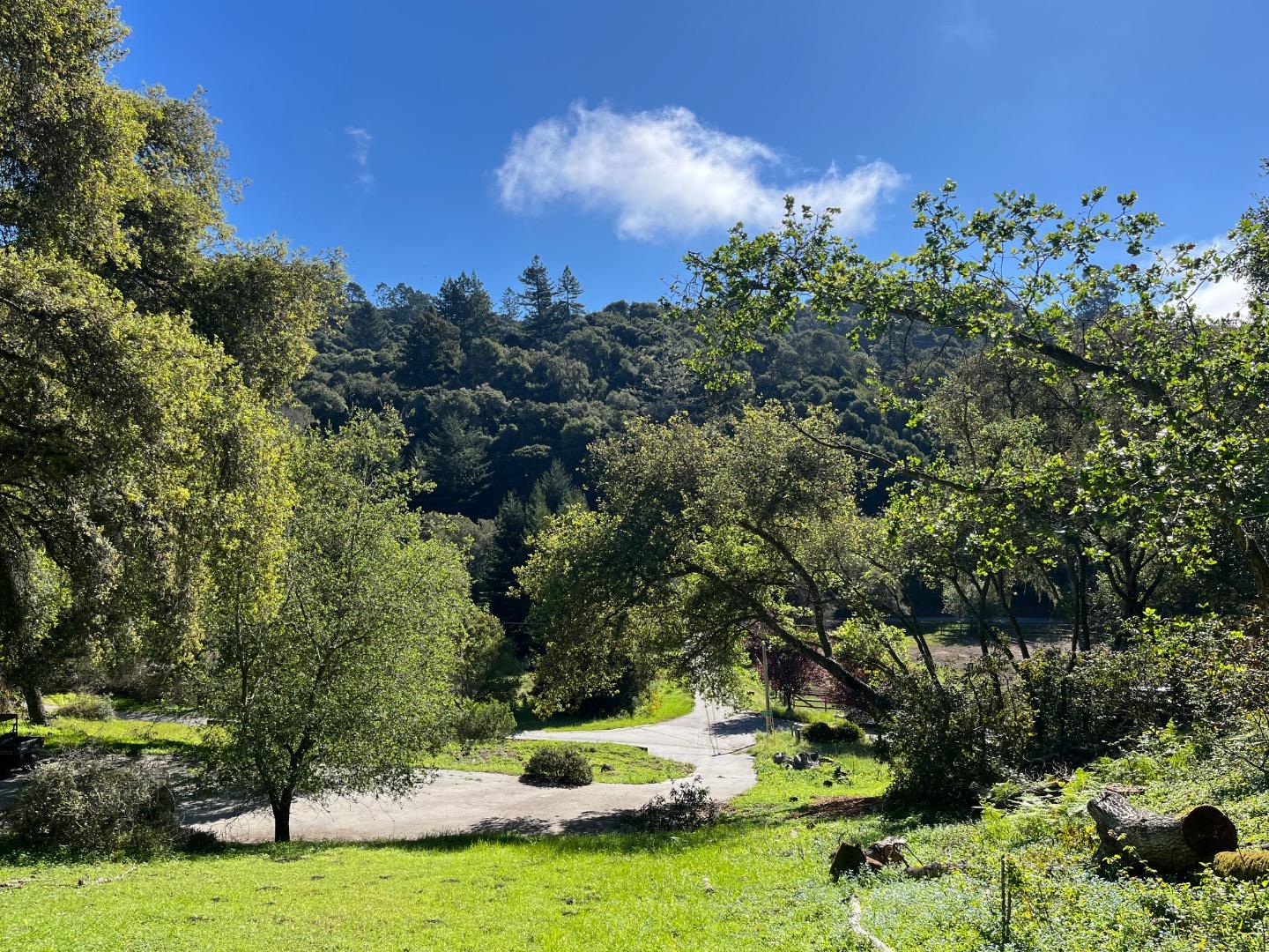 a view of a garden