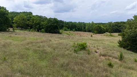 a view of a yard