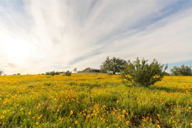 $5,980,000 | Undisclosed Address, Hye, TX 78635