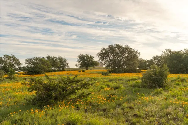 $5,980,000 | Undisclosed Address, Hye, TX 78635