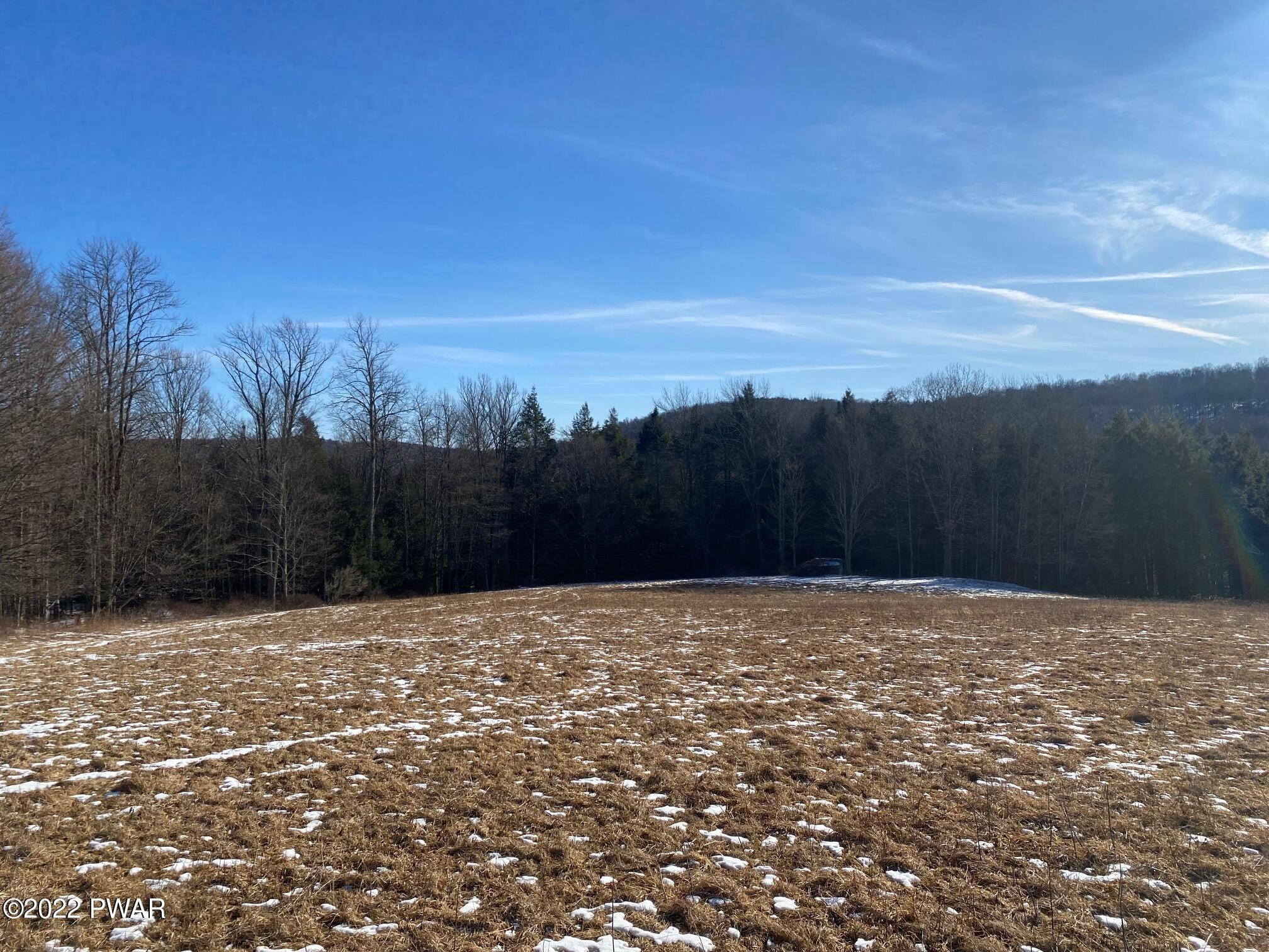 Calkins Road Milanville, PA 18443 - Photo 24 of 30