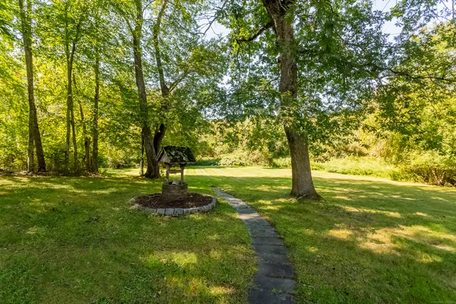 a view of a trees with a yard