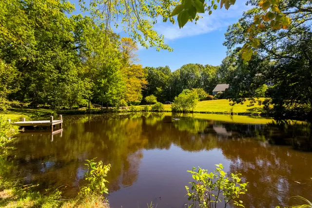 a view of a lake with a houses
