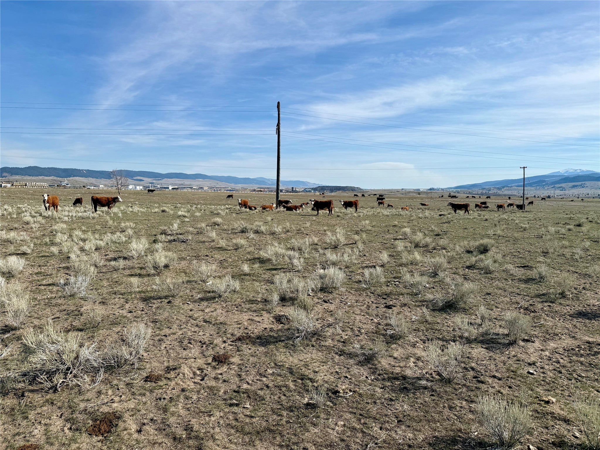 Tbd Tbd Nissler Road Ramsay, MT 59748 - Photo 16 of 19 Gallery Image 16