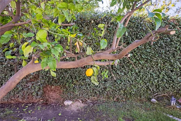 $4,975 | 1232 Meadow Court, Upland, CA 91784